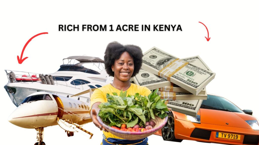 7 Easy Ways to Make Money Farming 1 Acre in Kenya
